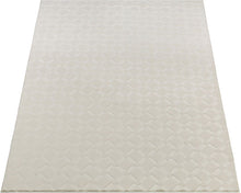 Lade das Bild in den Galerie-Viewer, Stilo Moderner Weicher Teppich 393 60-Cream