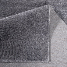 Bild im Galerie-Viewer laden (Teppich Fancy 647 Grau)