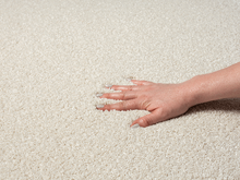 Lade das Bild in den Galerie-Viewer, Moderner Teppich Forest 340 60-Cream