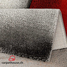 Lade das Bild in den Galerie-Viewer, Teppich »BRILLIANCE« 660 910 red