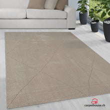 Lade das Bild in den Galerie-Viewer, Teppich Sign 1903 70-Beige