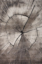 Lade das Bild in den Galerie-Viewer, Teppich Ibiza 605 95 Nature