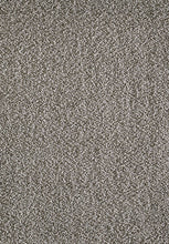 Lade das Bild in den Galerie-Viewer, Teppich Loca in Hellgrau