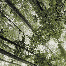 Lade das Bild in den Galerie-Viewer, Teppich Belis Multi 22103 40-Green