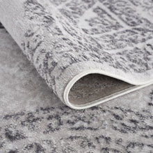 Lade das Bild in den Galerie-Viewer, Teppich Evra 7002-Light Gray