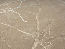 Lade das Bild in den Galerie-Viewer, Teppich Creation 50055 270-Beige