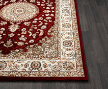 Lade das Bild in den Galerie-Viewer, Teppich Dubai 6253 110-Red
