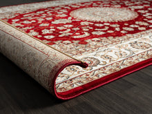 Lade das Bild in den Galerie-Viewer, Teppich Dubai 6253 110-Red