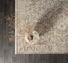 Lade das Bild in den Galerie-Viewer, Teppich Asterya 52021 110-Multi