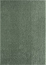 Lade das Bild in den Galerie-Viewer, Teppich Soli Shaggy - Waschbares Hochflor Teppich, 8010 40-Green