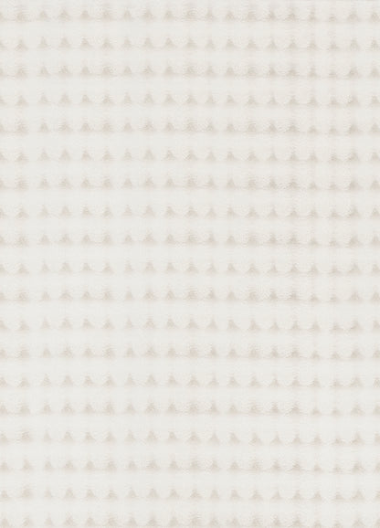 Cloud Flauschiger Hochflor Teppich 2010 65-White
