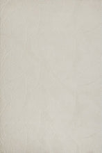Lade das Bild in den Galerie-Viewer, Stilo Moderner Weicher Teppich 391 60-Cream