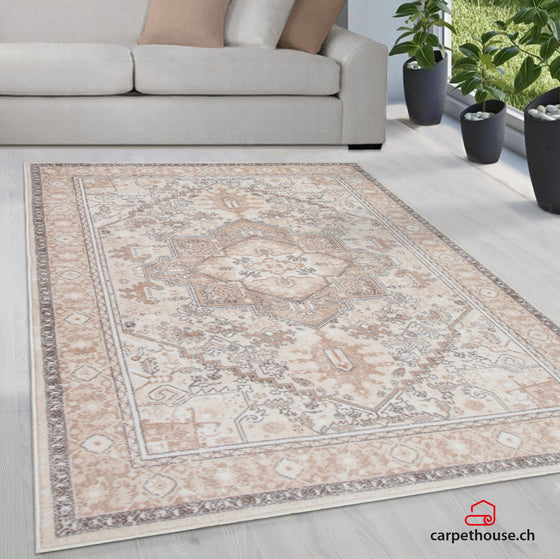 Teppich Elis Premium 6601 70-Beige