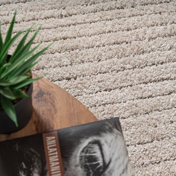Ideal Shaggy Hochflor-Teppich in Beige