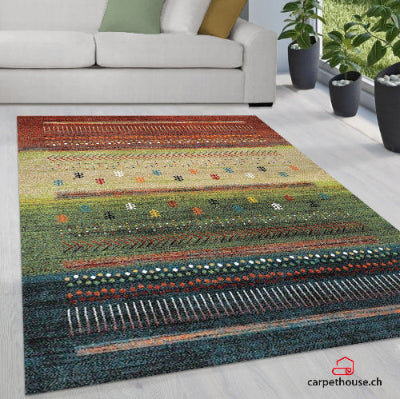 Teppich ETHNO 818 110-Multi