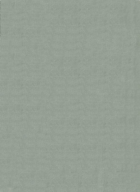 Cozy Waschbarer Teppich mit weichem Flor, 80 42-Green