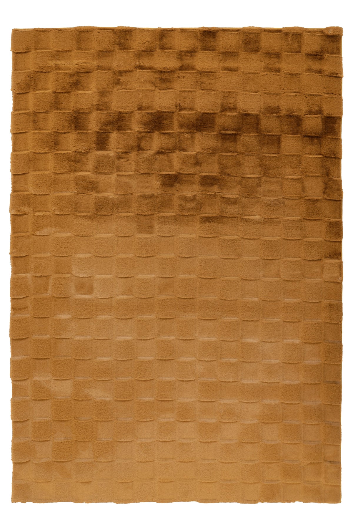 Botany 625 Gelb 160 x 230 cm