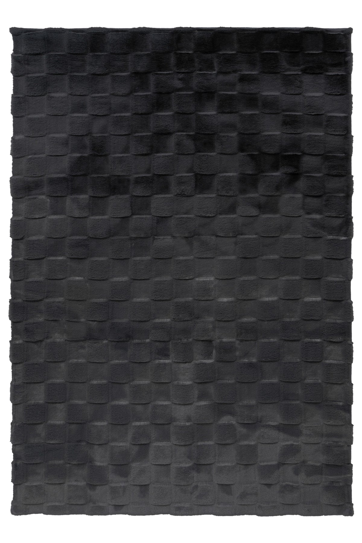 Botany 625 Graphit 80 x 150 cm