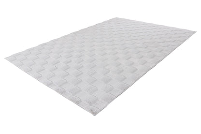 Botany 625 Silber 80 x 150 cm