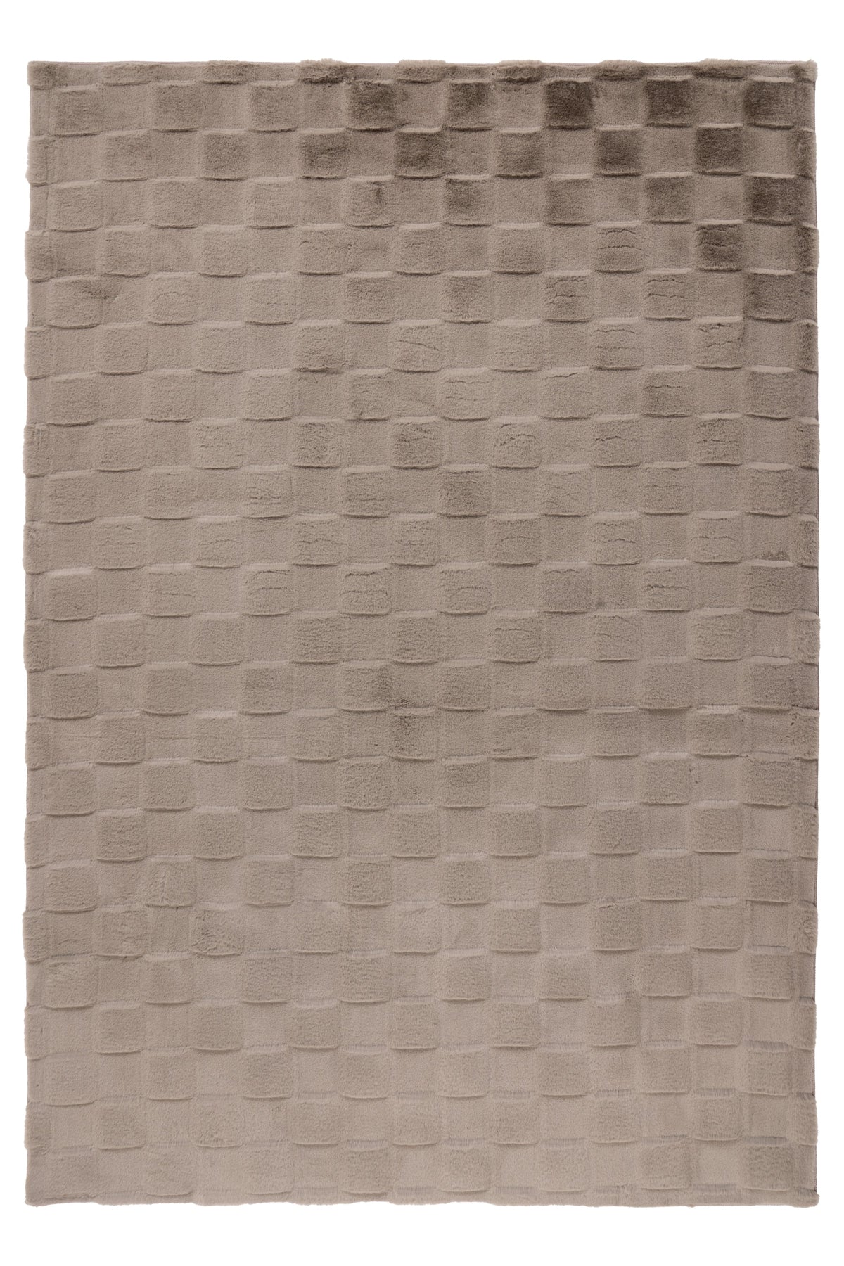 Botany 625 Taupe 80 x 150 cm