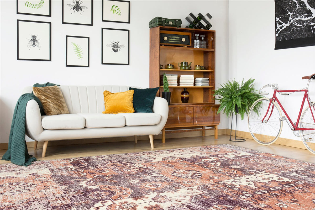 Indiana 425 Multi / Terra