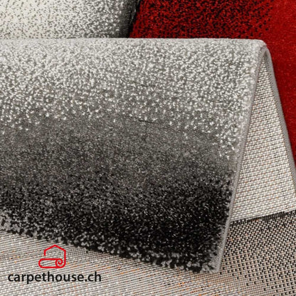 Teppich »BRILLIANCE« 660 910 red