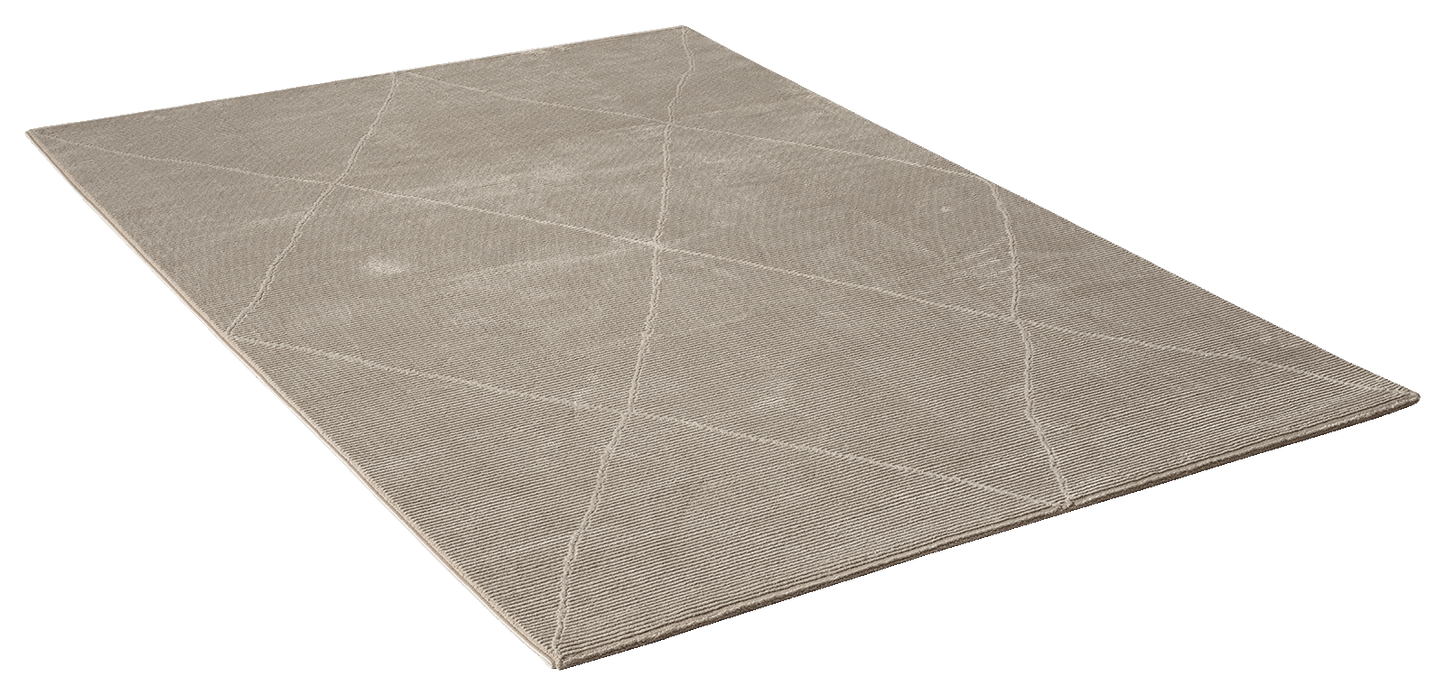 Teppich Sign 1903 70-Beige