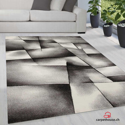 Teppich »BRILLIANCE« 660 990 Anthracite