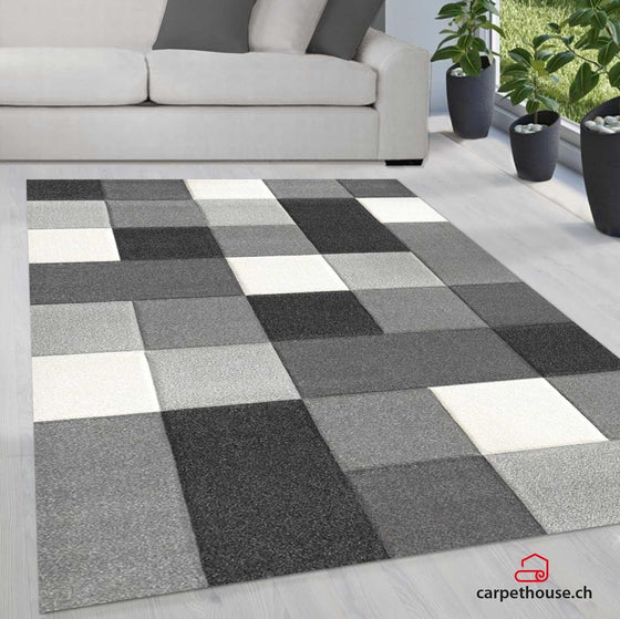 Teppich BRILLIANCE 656 96 Grey