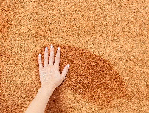 Teppich Hochflor Loft 37 20-Terra