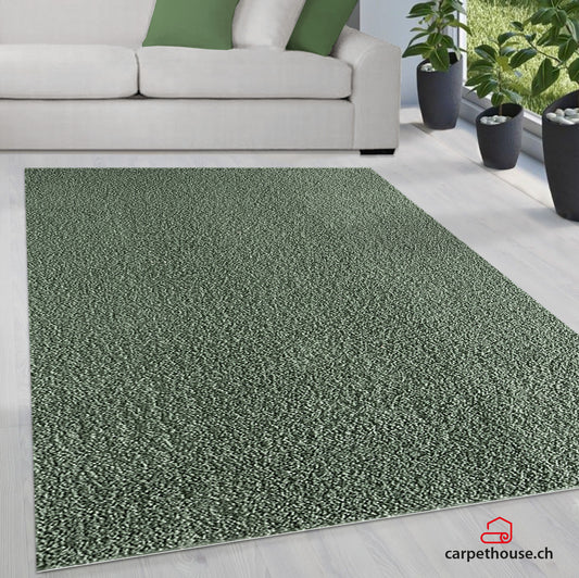 Teppich Soli Shaggy - Waschbares Hochflor Teppich, 8010 40-Green