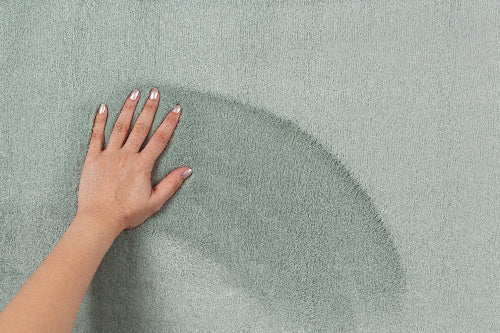 Maximo Moderner Hochflor Teppich 30 40-Green