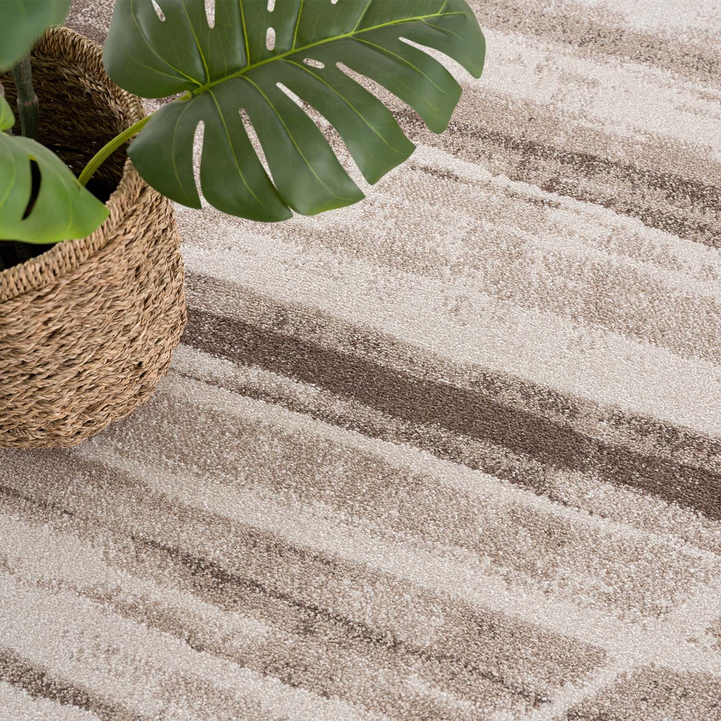 Teppich Moda 570 Beige