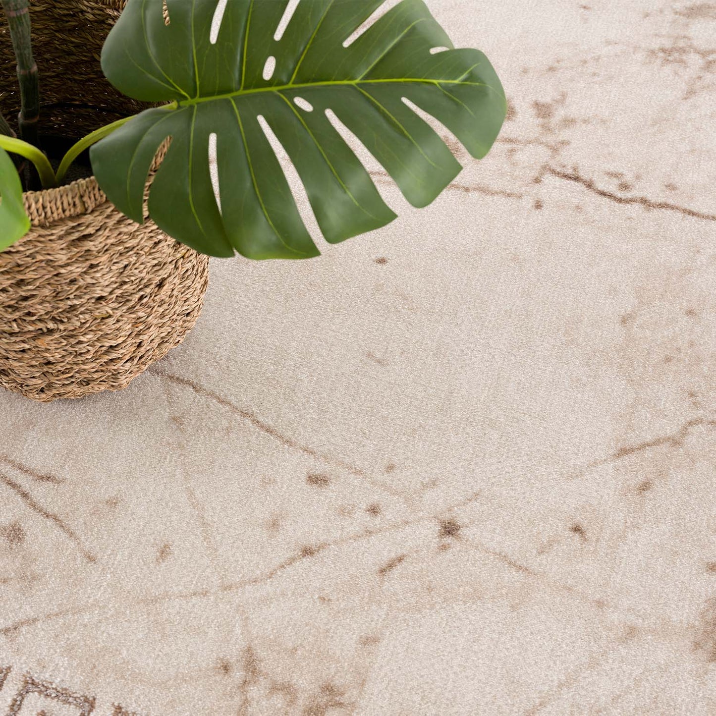 Teppich Noa 9273 Beige